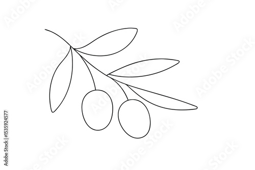 Simple line drawing olive branch two olives continous-line art