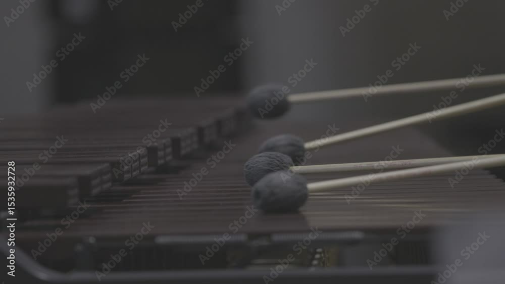 A close-up, low-angle shot of a musician passionately playing a marimba or vibraphone with mallets in a dark, atmospheric setting. Ungraded LOG footage for color grading. A close-up, low-angle shot of a musician passionately playing a marimba or vibraphone with mallets in a dark, atmospheric setting. Ungraded LOG footage for color grading.
