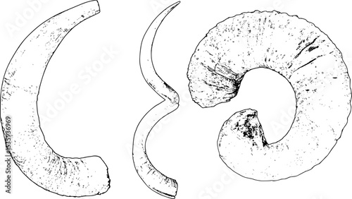 Horn collection line art