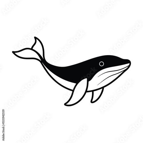 Full body whale vector illustration on white background