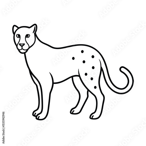 Full body cheetah vector illustration on white background