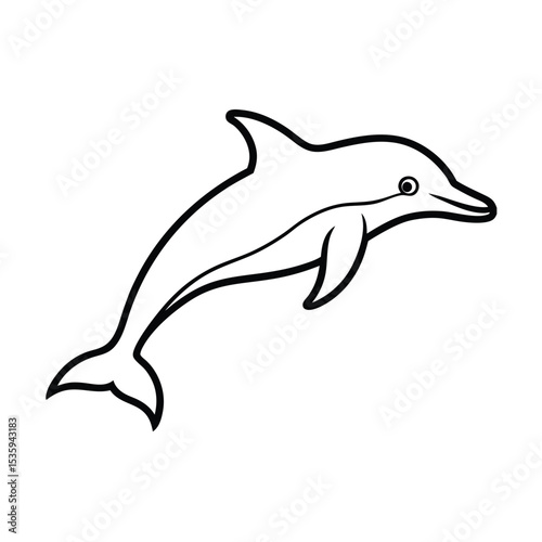 Full body dolphin vector illustration on white background