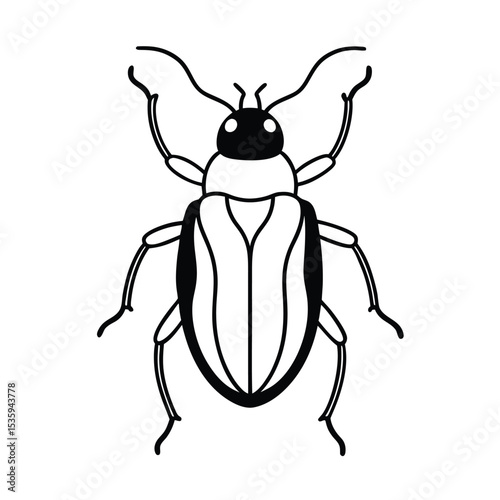 Full body beetle vector illustration on white background