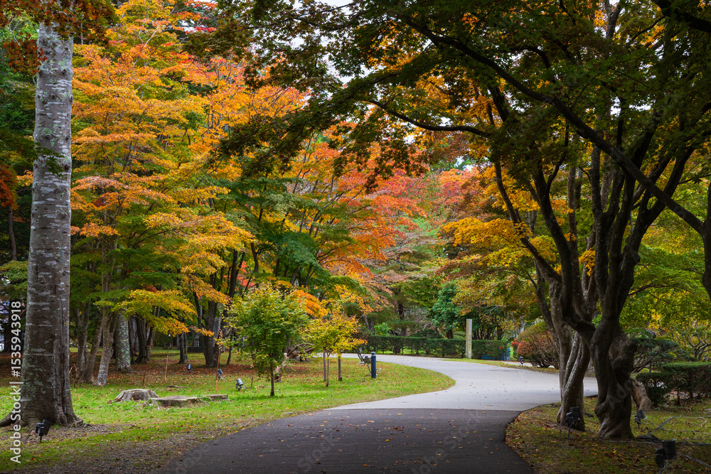 Naklejka premium 日本の風景・秋 北海道函館市 旧岩船氏庭園(香雪園)