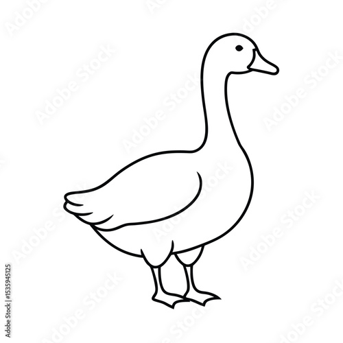 Full body goose vector illustration on white background