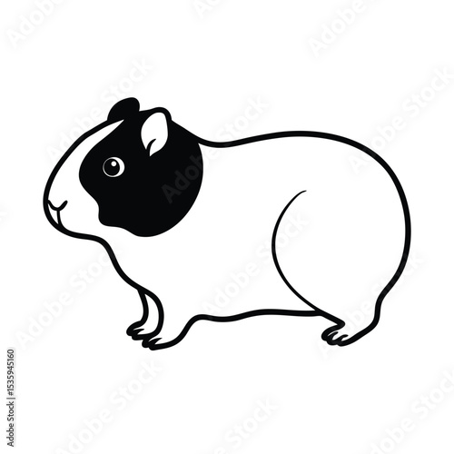 Full body guinea pig vector illustration on white background