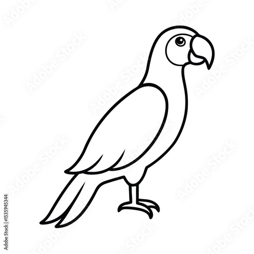 Full body macaw vector illustration on white background