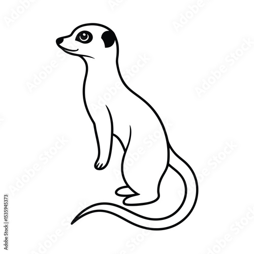 Full body meerkat vector illustration on white background