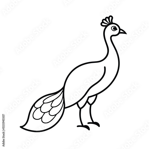 Full body peacock vector illustration on white background
