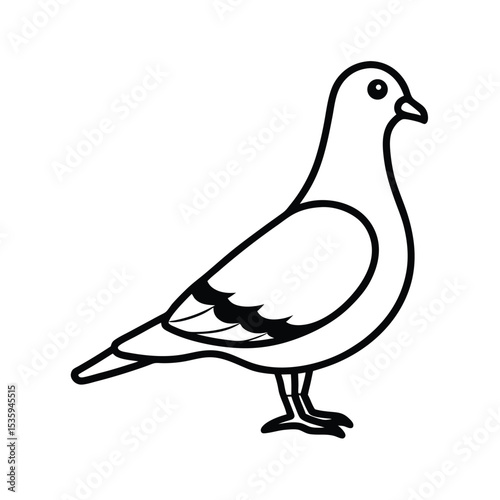 Full body pigeon vector illustration on white background