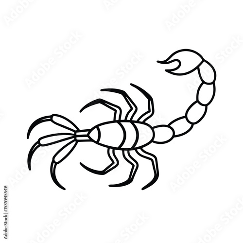 Full body scorpion vector illustration on white background