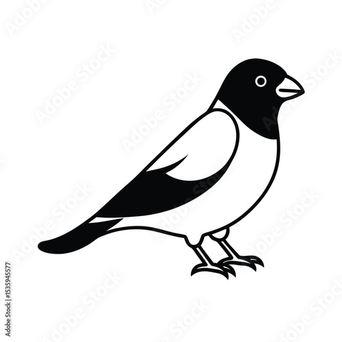 Full body sparrow vector illustration on white background