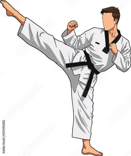 Martial Arts Vector Illustration Featuring Taekwondo and Karate Action with Dojang Scene
