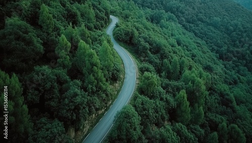 Winding road through lush green forest. High-angle view of a curving asphalt road snaking through dense foliage