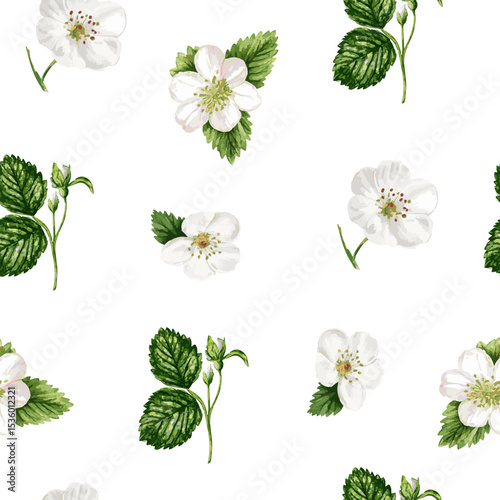  vector seamless pattern with vintage strawberry branch with berries, leaves and flowers. Isolated on white
