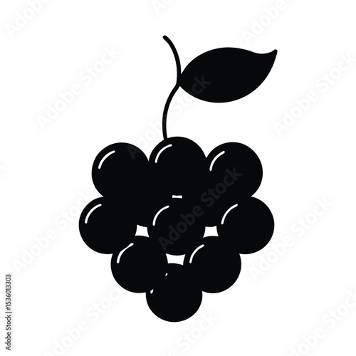 Detailed illustration of a chokeberry plant with berries and leaves