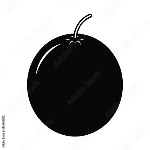 Full body jabuticaba illustration detailed vector graphic of a brazilian grape