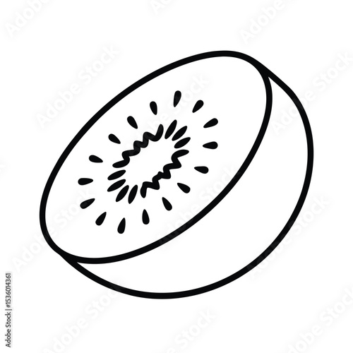 Whole kiwi fruit sliced open detailed vector illustration
