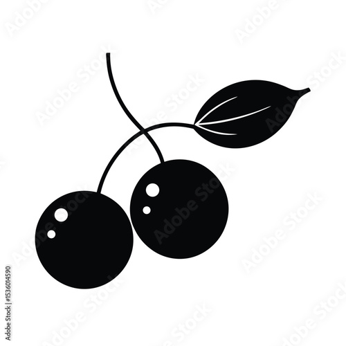 Vibrant huckleberry illustration a detailed vector design featuring berries leaves and stems