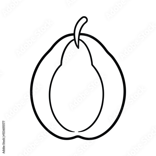 Detailed full body illustration of an ackee fruit botanical accuracy vibrant colors high resolution vector graphic