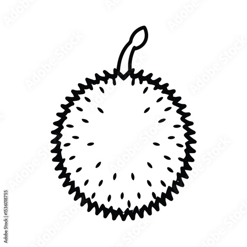 High resolution vector illustration of a whole rambutan fruit detailed and realistic