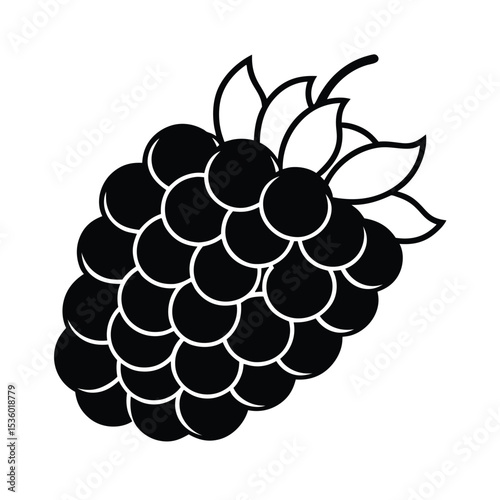 Detailed illustration of a full raspberry cluster showcasing individual berries and leaves in vibrant color