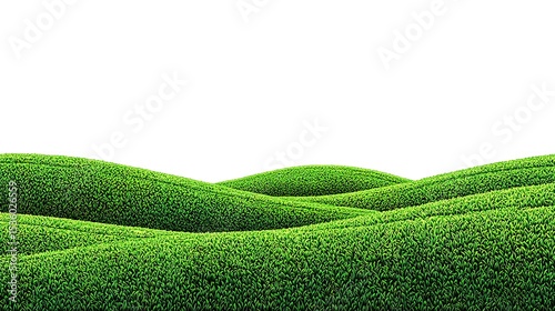Rolling hills of vibrant green grass.