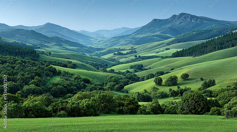 Fototapeta premium Lush green hills and valleys stretch towards a distant mountain range.