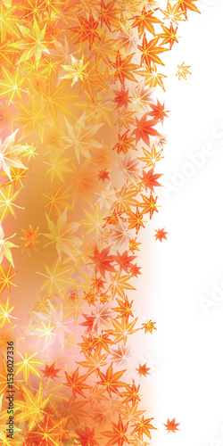 紅葉　もみじ　秋　背景	