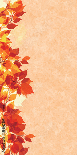 紅葉　もみじ　秋　背景	
