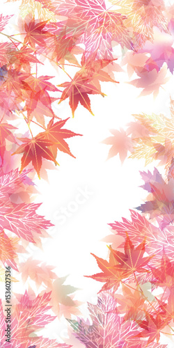 紅葉　もみじ　秋　背景	