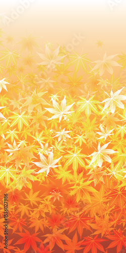 紅葉　もみじ　秋　背景	