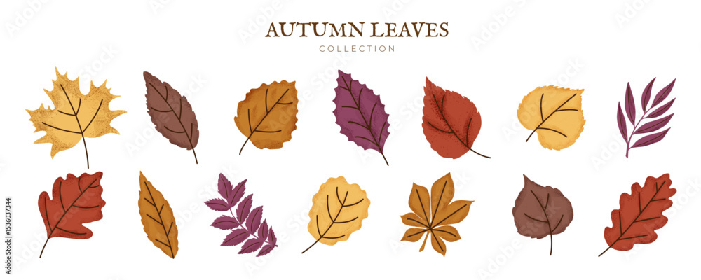 Obraz premium Fall Leaf Set with Grain. Autumn Leaves, Branch, Rowan, Foliage, Maple, Oak. Forest Decoration. Natural Design Elements Bundle. Botanical Floral Collection. Flat Vector Isolated on white Background.