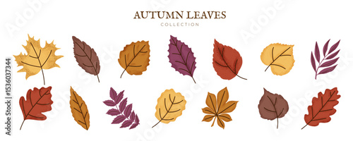 Fall Leaf Set with Grain. Autumn Leaves, Branch, Rowan, Foliage, Maple, Oak. Forest Decoration. Natural Design Elements Bundle. Botanical Floral Collection. Flat Vector  Isolated on white Background.