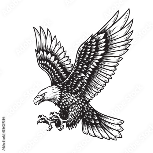 Detailed black and white eagle in landing pose with wings spread wide. Classic engraving style, ideal for prints, tattoos, logos, and vector stock. Bird, Animals.