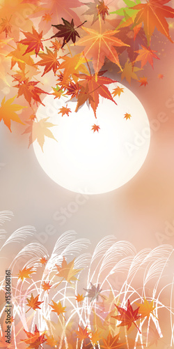 紅葉　月見　秋　背景	