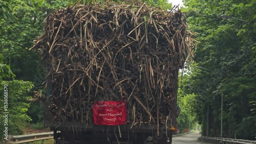 Sugarcane truck
