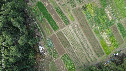 Photography Drone footage of Jinshan District in Shanghai, China, featuring traditional farmland, a Chinese pagoda, and classic architecture