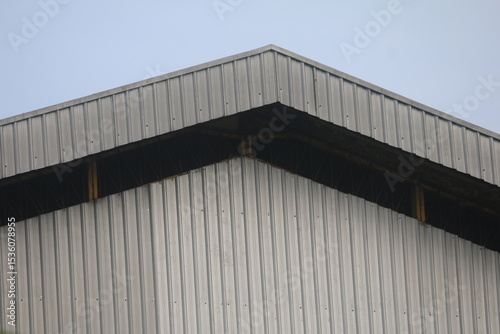 the towering roof of the building looks like it is sticking to the sky