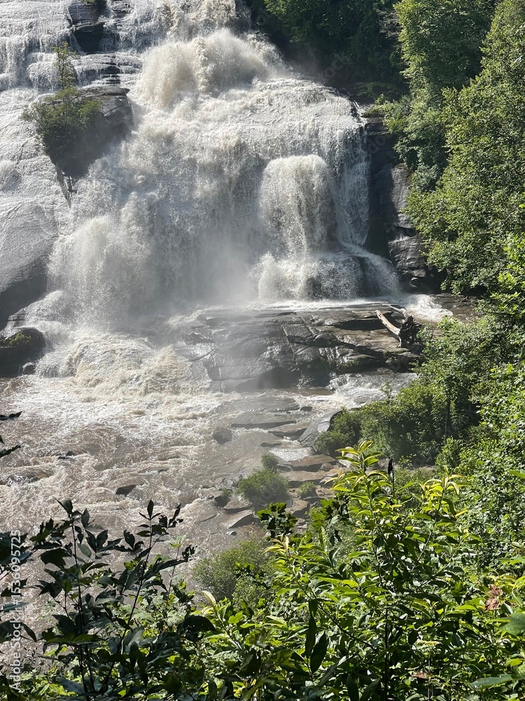 Obraz premium waterfall in the forest