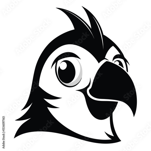 A fierce toucan head with bold black and white contrasts shows its power