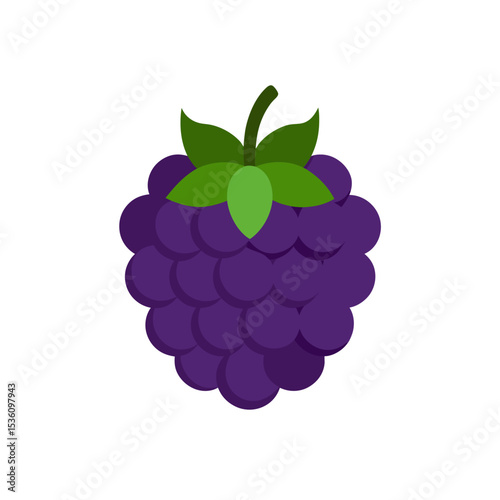 blackberry on white background   