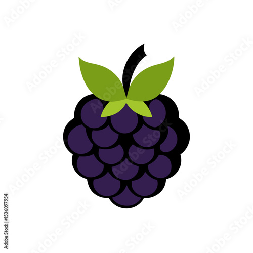 blackberry on white background  .svg