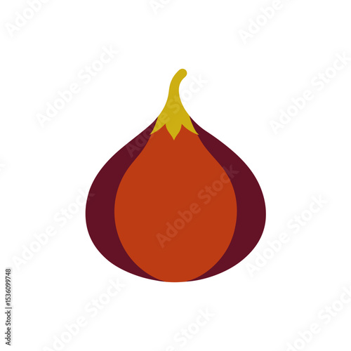 fig on white background   