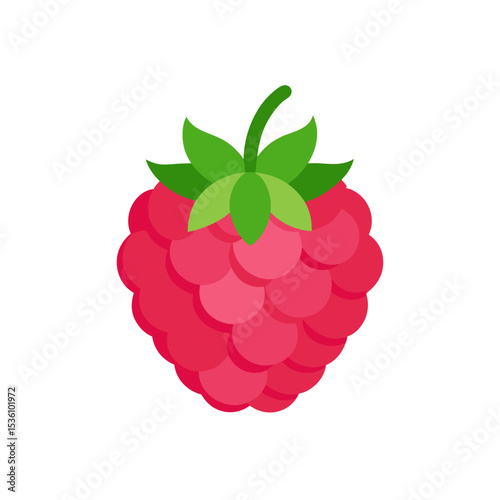 raspberry on white background  