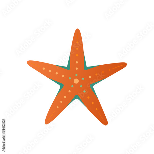 starfish on white background  .svg