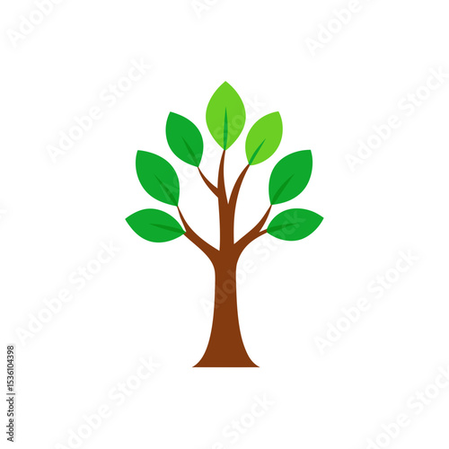 tree sapling on white background   