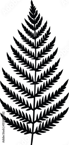 Fern Silhouette Line Art Vector Illustration On White Background