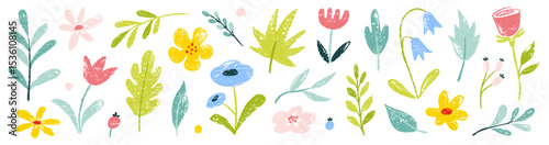 Flower crayon watercolor spring floral set. Hand drawn pastel crayon flower, leaf, plant with chalk texture. Cute nature background for kid, child, garden doodle element design. Vector illustration photo