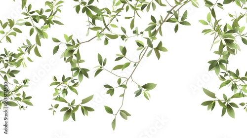 An olive branch adorned with lush green leaves is beautifully isolated on a clean white background, a symbol of peace and tranquility created by generative AI. The fresh and vibrant leaves enhance the